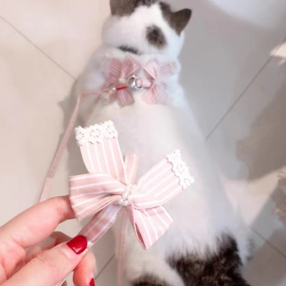 harness and lead for small dog or cat - Picture 2 of 9